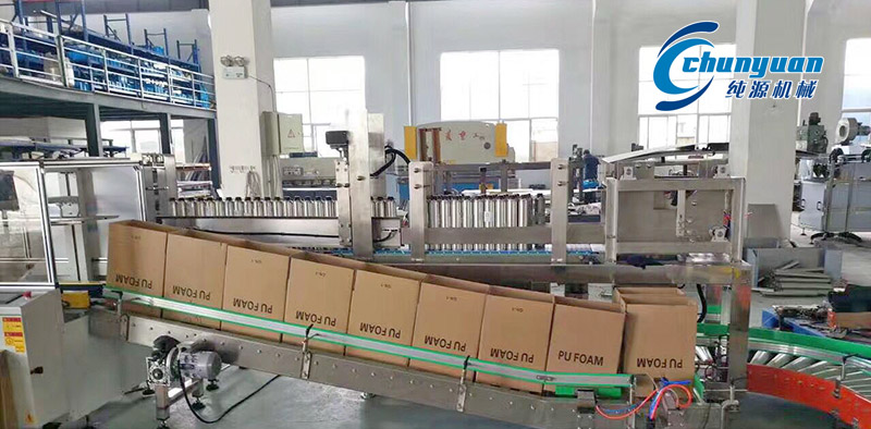 裝箱機，挑選裝箱機，純源裝箱機，純源機械